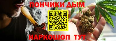 ГАЛЛЮЦИНОГЕННЫЕ ГРИБЫ Свободный