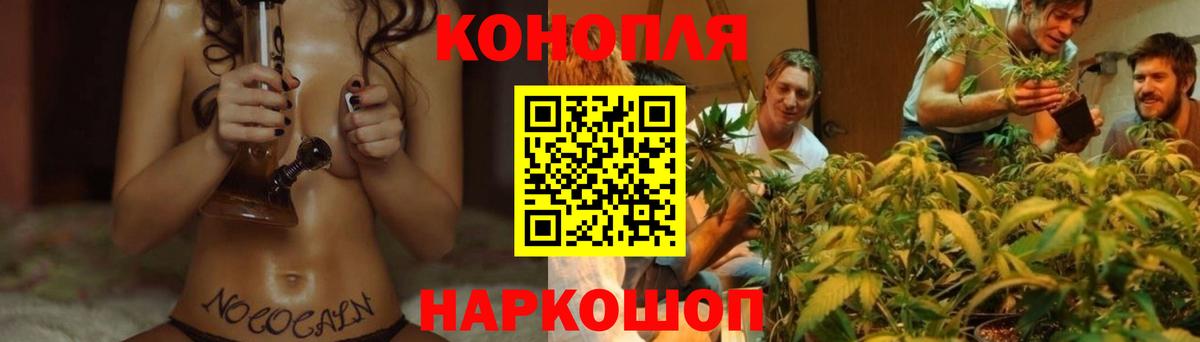 Бошки Шишки White Widow Самара